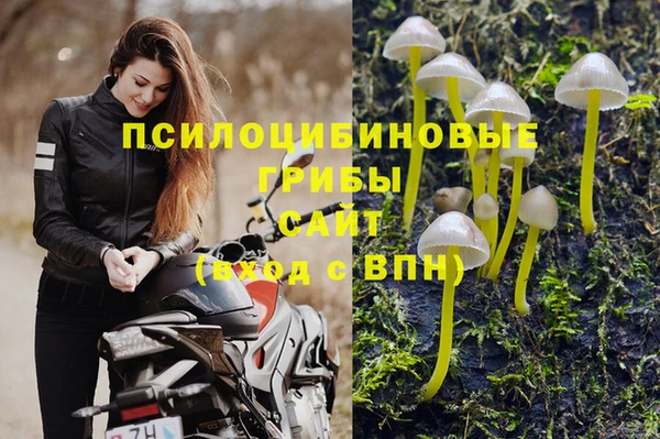 метамфетамин Богородицк